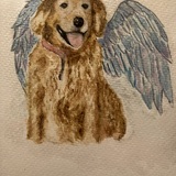 Entry image for Luke