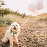 Entry image for Maddie