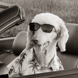 Entry image for Hansen