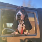 Entry image for Slater