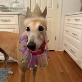 Entry image for Lido