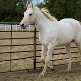 Entry image for HotShot