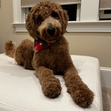 Entry image for Maggie 