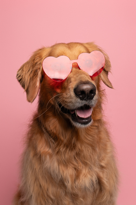 Entry image for Finley. Clicking this image will show a larger photo