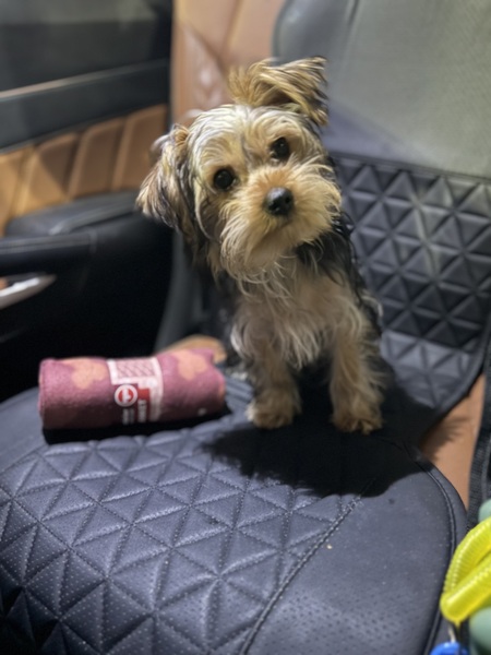 Entry image for Keenston. Clicking this image will show a larger photo