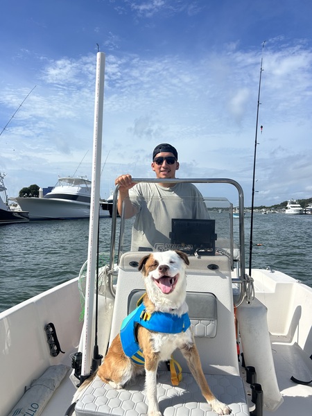 Entry image for Honey. Clicking this image will show a larger photo