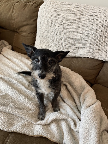 Entry image for Cam. Clicking this image will show a larger photo