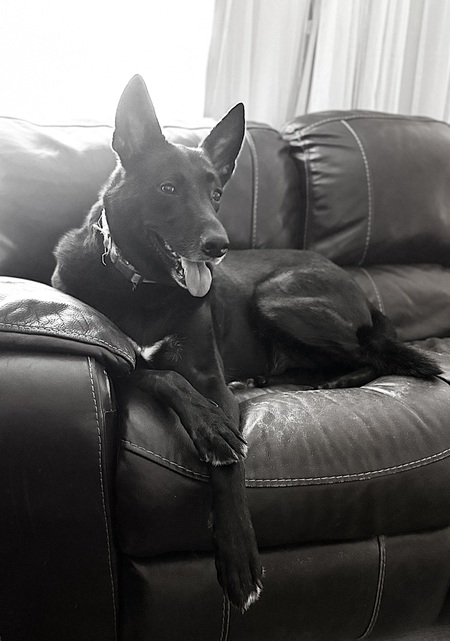 Entry image for Keiki. Clicking this image will show a larger photo