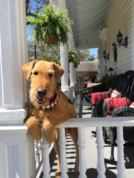 Entry image for Count “Baron” DeBrigaard. Clicking this image will show a larger photo