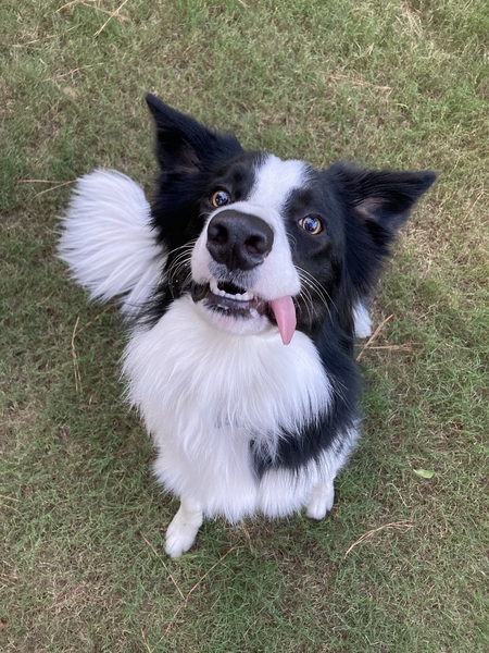 Entry image for Mario!. Clicking this image will show a larger photo