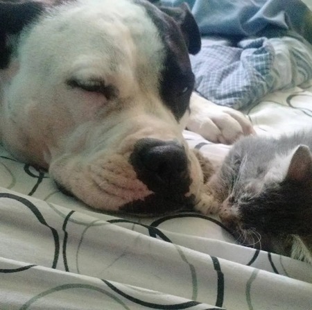 Entry image for Queen. Clicking this image will show a larger photo