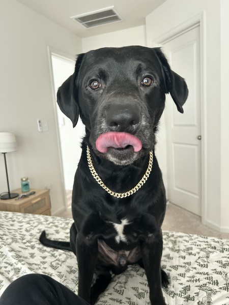 Entry image for Miller. Clicking this image will show a larger photo