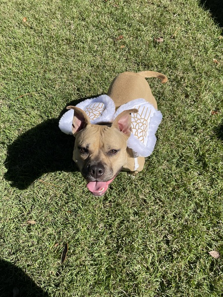 Entry image for Clara. Clicking this image will show a larger photo