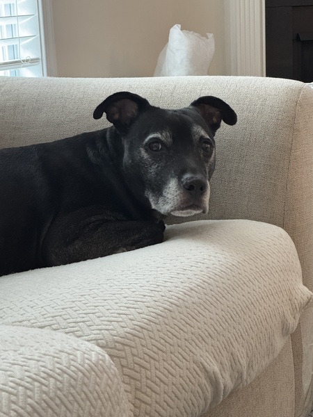 Entry image for Javier. Clicking this image will show a larger photo