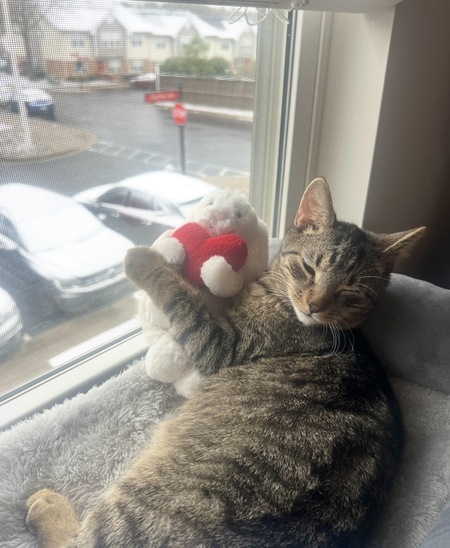 Entry image for George . Clicking this image will show a larger photo