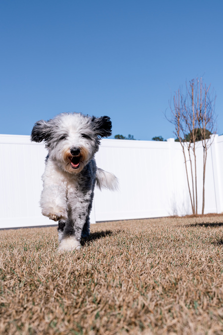 Entry image for Princess Peach. Clicking this image will show a larger photo