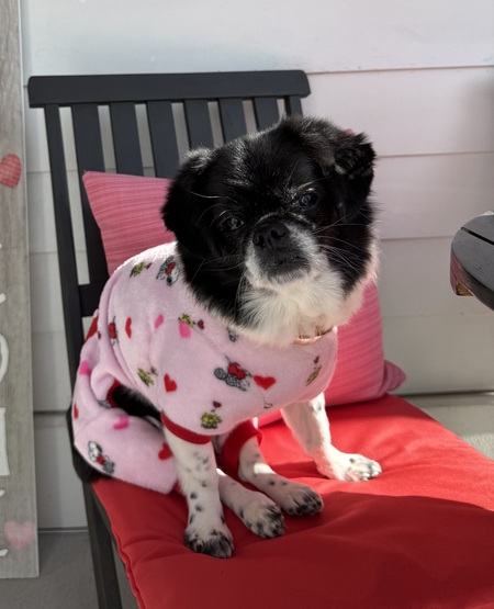 Entry image for Skittles. Clicking this image will show a larger photo