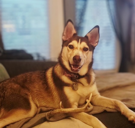 Entry image for Mena. Clicking this image will show a larger photo