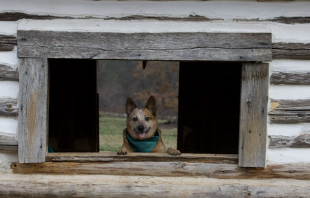 Entry image for Pete. Clicking this image will show a larger photo