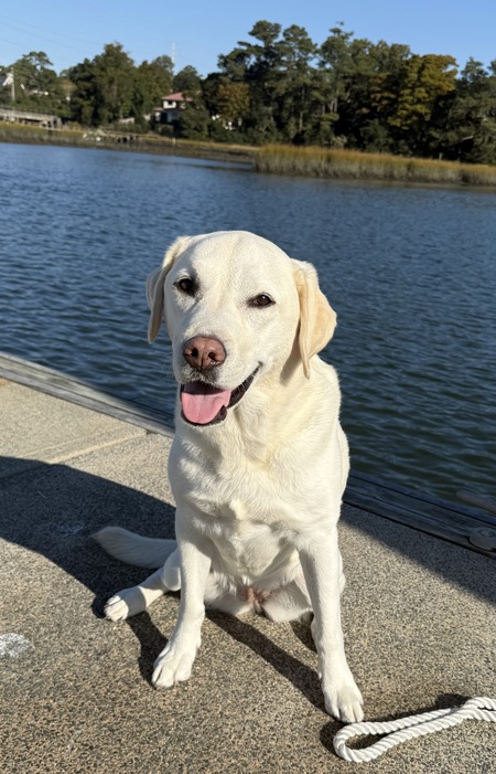 Entry image for Winnie Pine Cooper . Clicking this image will show a larger photo