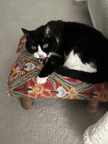 Entry image for Mitzi McKenzie Price . Clicking this image will show a larger photo