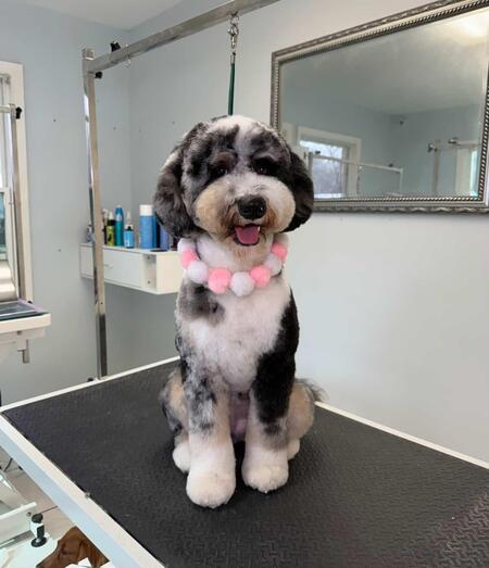 Entry image for Wednesday . Clicking this image will show a larger photo