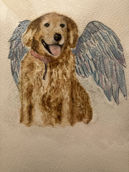 Entry image for Luke. Clicking this image will show a larger photo