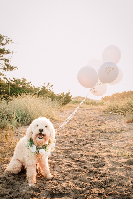 Entry image for Maddie. Clicking this image will show a larger photo