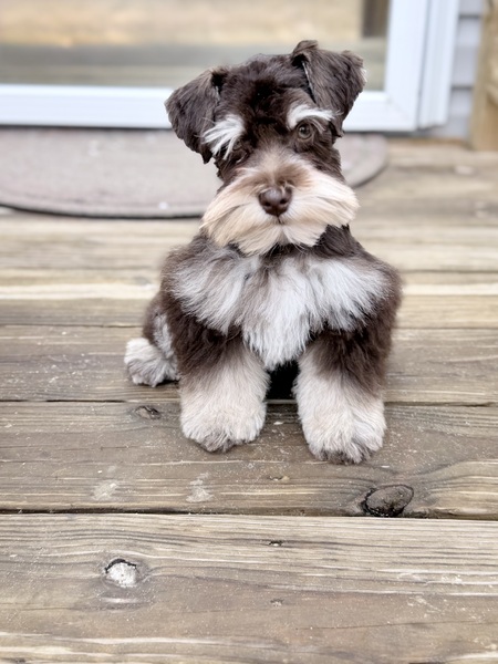 Entry image for Kai. Clicking this image will show a larger photo