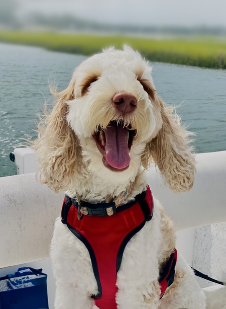 Entry image for Mookie (MooMoo) Massey. Clicking this image will show a larger photo