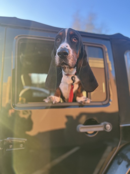 Entry image for Slater. Clicking this image will show a larger photo