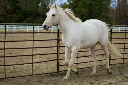 Entry image for HotShot. Clicking this image will show a larger photo