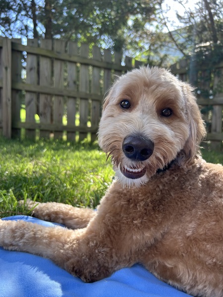 Entry image for Max. Clicking this image will show a larger photo