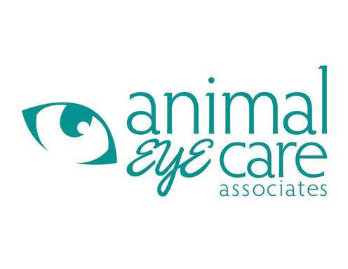 Animal Eye Care of Wilmington
