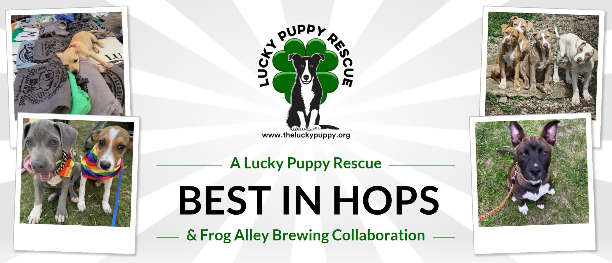 Banner for BEST IN HOPS- A Lucky Puppy Rescue & Frog Alley Brewing Collaboration
