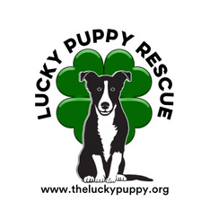 Logo for BEST IN HOPS- A Lucky Puppy Rescue & Frog Alley Brewing Collaboration