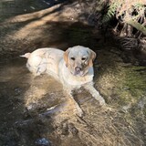 Entry image for Baxter  Aldrich