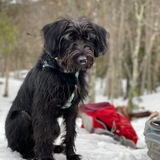 Entry image for Carl