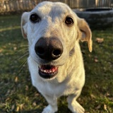 Entry image for Jackson 