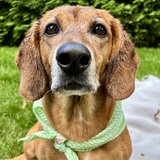 Entry image for Hadley 