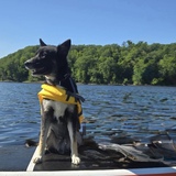 Entry image for Tess