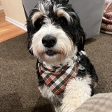 Entry image for Maddie