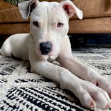 Entry image for Walter