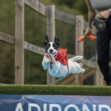 Entry image for Slick