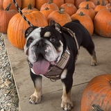 Entry image for Philly