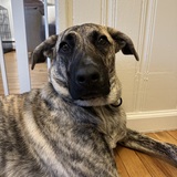 Entry image for Honey Boo