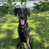 Entry image for Tupper