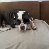 Entry image for Lucy