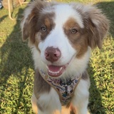 Entry image for Rory