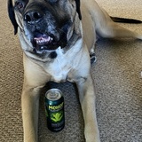 Entry image for Chunk